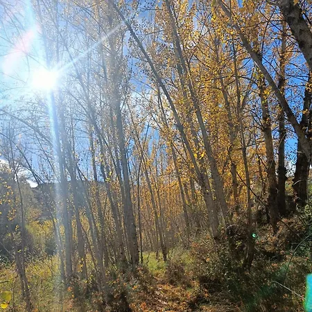 別荘 La Del Risco *